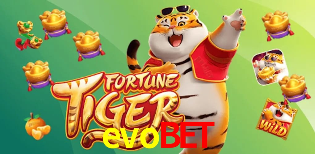 Sports Statistics evobet